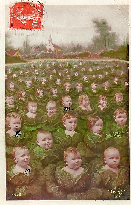 BON-ne
            JOUR-née ...
Mythe de la naissance ...😇
dans les choux ou 
dans les roses   ... 
fr.wikipedia.org/wiki/Mythe_de_…
Bonnes fêtes de fin d'année...