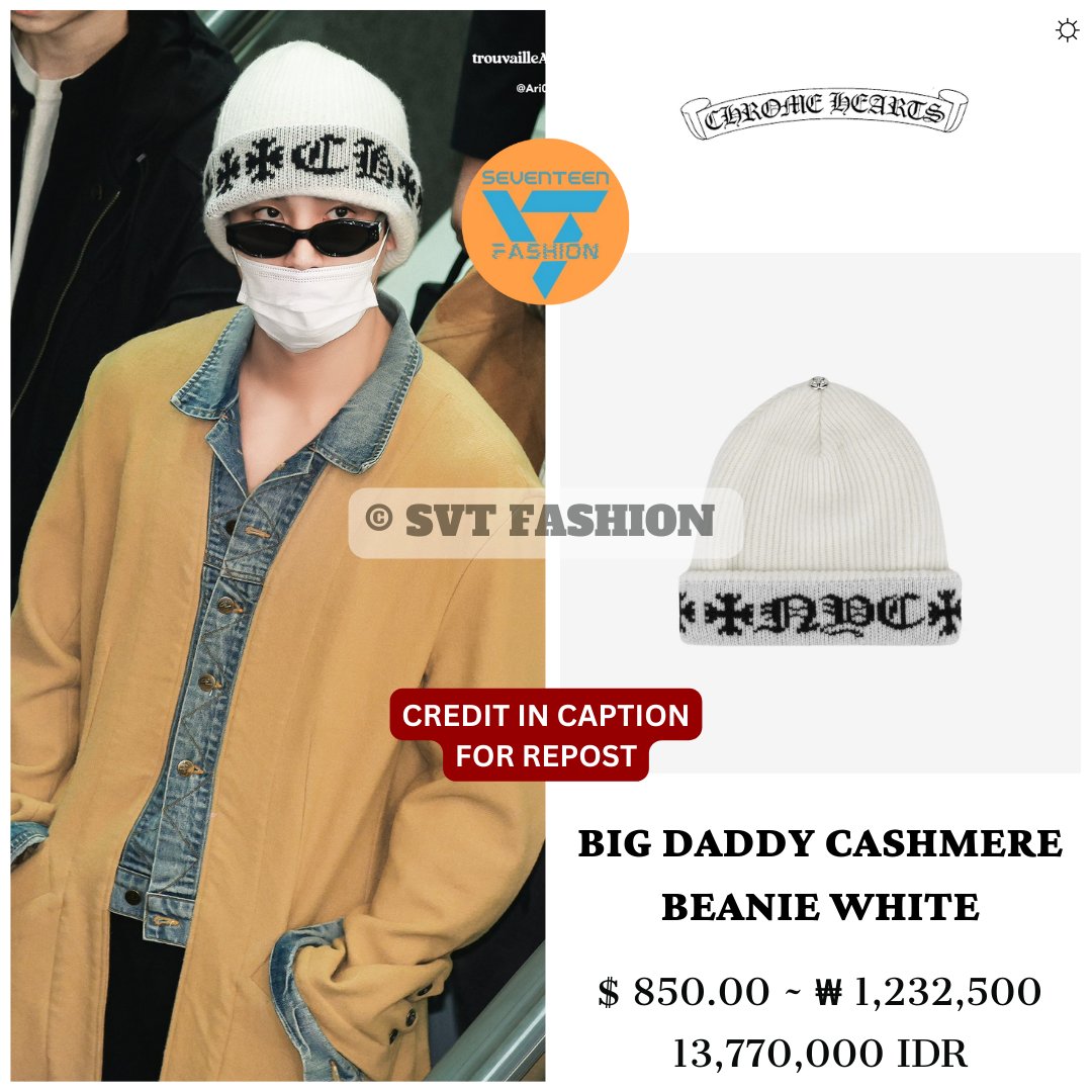 Mingyu style in Incheon International Airport (241223) 1. Greg