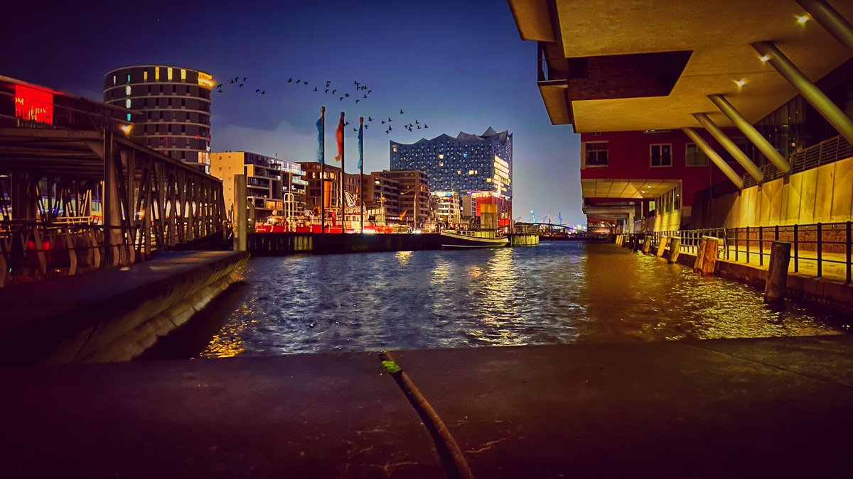 Frank (FOP) tweet media