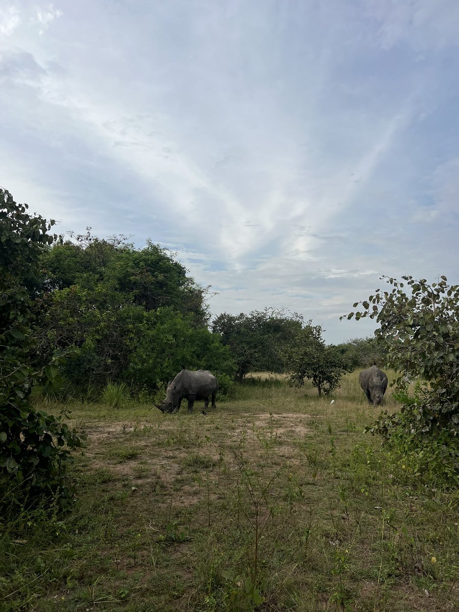 GoExplore Safaris - DMC tweet media