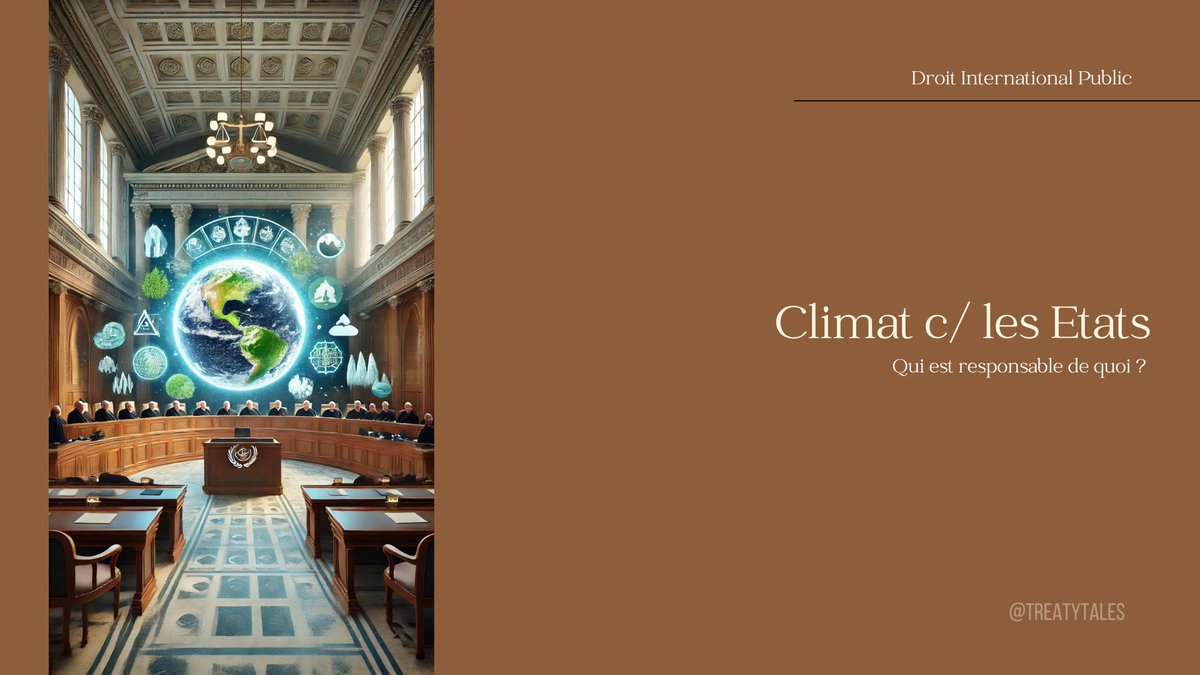 Climat vs États : qui est responsable ?

🌐 En 2023, l'Assemblée Générale de l'ONU a demandé à la CIJ son avis sur les diverses obligations des Etats en matière de changement climatique.
🤓 Au début du mois de décembre, la CIJ a auditionné les intervenant à la procédure : 97