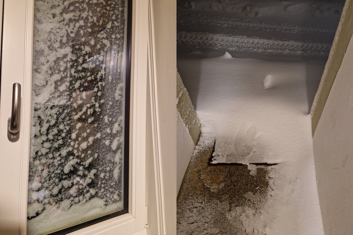 Malo Senpai 🇨🇭🍑🐈‍⬛🐦‍⬛ tweet media