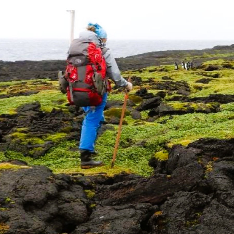 📢Field researcher job #MarionIsland 2025/2026
🗓️Closing date 10 Jan 2025
click on link below for more details
 sanap.ac.za/marion-job
#SANAP <a href="/dstigovza/">DEPARTMENT OF SCIENCE,TECHNOLOGY & INNOVATION</a> <a href="/NRF_News/">National Research Foundation of South Africa</a> <a href="/UPEcology/">Michelle Greve</a> @ResearchUP <a href="/environmentza/">Environmentza</a> @sapri_dsi <a href="/HigherEduGovZA/">HigherEducationZA</a> #MOUSEFREEMARION