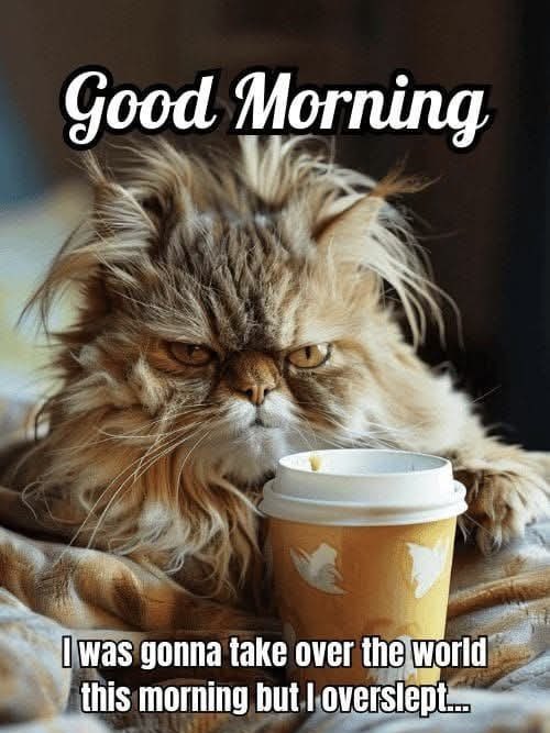 FitLikeSticks's tweet photo. Happy Monday folks ๐
๐ป๐๐โค๏ธ๐ Itโs not just any Mondayโitโs my last workday of 2024! ๐ Cheers to wrapping up the year on a high note and kicking back until 2025. Letโs make it a good one! ๐ฅ #LastWorkDay #Almost2025 #mondaymotivation https://t.co/aT9cItsQlx