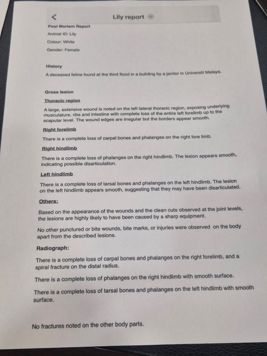 MirulAm05674851's tweet photo. Kesian anjing, tak pasal² kena fitnah 😢😢😢 

Lily's X-rays &amp; Report from Shima Aris. It's very obvious it was intentional cuts. https://t.co/W7ApyKzppN