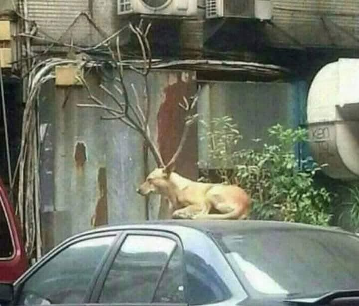 แล้วกูก็ชอบขำกับอะไรแบบนี้อะ 55555555555555555555555555555555