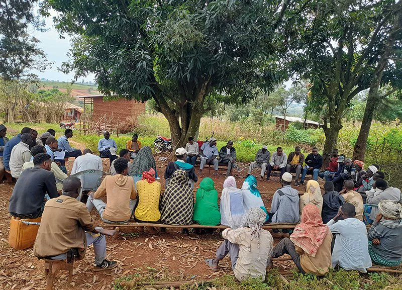 NELGA_AU's tweet photo. 📖 @NELGA_AU members, don’t miss this insightful read! "Tackling Land Use Challenges with a Participatory and Integrated Planning Approach" shares practical strategies for sustainable land governance.
🔗 https://t.co/Nigz5098RI https://t.co/IiX5Ke8fZS