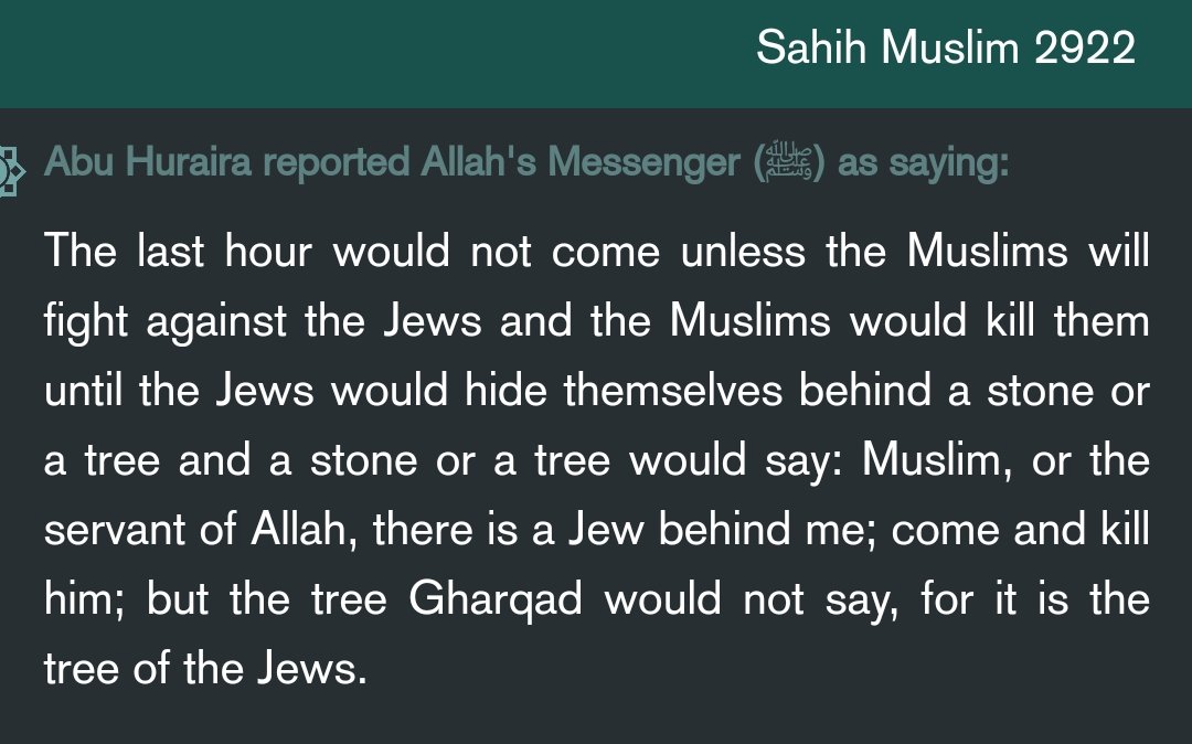 ApostateProphet's tweet photo. Muslims believe the world will not end before they kill the Jews.

This is a fact. Everything else is propaganda. https://t.co/JteDFUO31C