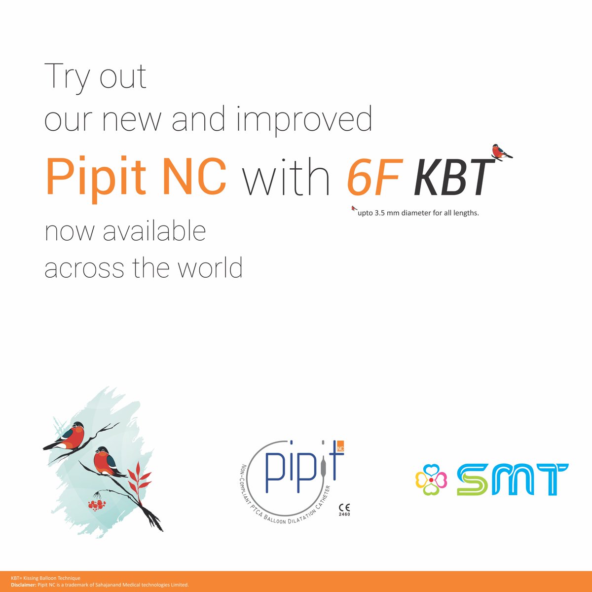 🚨 Introducing 6F KBT with Pipit NC!
Redefining trans-radial angioplasty for complex bifurcation lesions. 🌟
#6FKBT #PipitNC #TransradialAccess #InterventionalCardiology #BifurcationSolutions #SMT