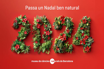 CulturaDIBA's tweet photo. 🎄 A les portes de Nadal, us desitgem molt bones festes amb un nou butlletí de divulgació científica #BCNScienceCorner:
✅ Activitats nadalenques al @museuciencies i al @MuseuNac_Cat
✅ Ciència radical al @cececebe
✅ Laboratori per a la recerca i la creació artística @LaSalleBCN
✅ Nou curs de Ciència Oberta @CSUC_info
➕ I més aquí: https://t.co/6Xn6Bj8Hkc