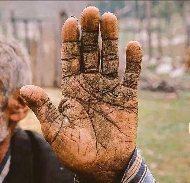 bjorn_ironsidd's tweet photo. Şu işçiye ne kadar para verileceğine 1 aydır oturup tartışıyorlar

Sizin gözünüzü ne kadar doyuruyor onu belirlesek, emekçinin karnı çok kolay doyacak zaten

#AsgariÜcretAçıklanıyor https://t.co/8xv7BFgDOW