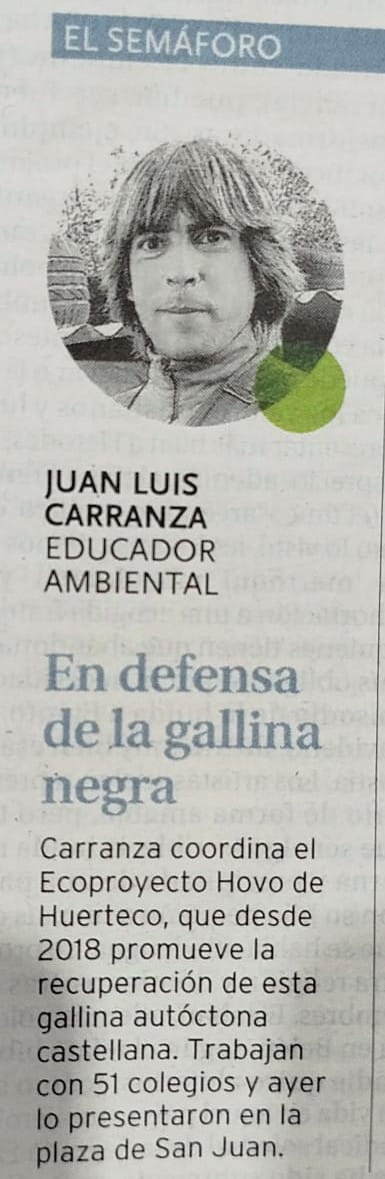Huerteco1's tweet photo. La Gallina Castellana Negra en el @diariodeburgos.
Humor gráfico: Operación Gallina Negra 🐓🖤
Juan Luis Carranza, socio fundador de @Huerteco1 en el 🚦🟢Reportaje del proyecto #HOVO #AMPAdrina en @SanPablo_Cole
🖤Gracias por colaborar con la difusión https://t.co/O4TYmLJWAG