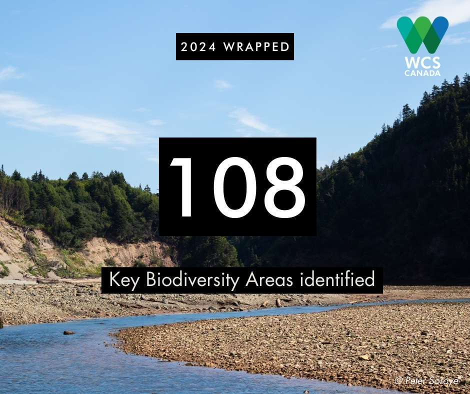 WCS Canada (@wcs_canada) on Twitter photo Continuing our countdown to 2025, today we're focusing on Key Biodiversity Areas - KBAs have become an integral tool for biodiversity conservation in Canada 🍃 <a href="/KBACanada/">KBA Canada</a> #CountdownTo2025 Continuing our countdown to 2025, today we're focusing on Key Biodiversity Areas - KBAs have become an integral tool for biodiversity conservation in Canada 🍃 <a href="/KBACanada/">KBA Canada</a> #CountdownTo2025