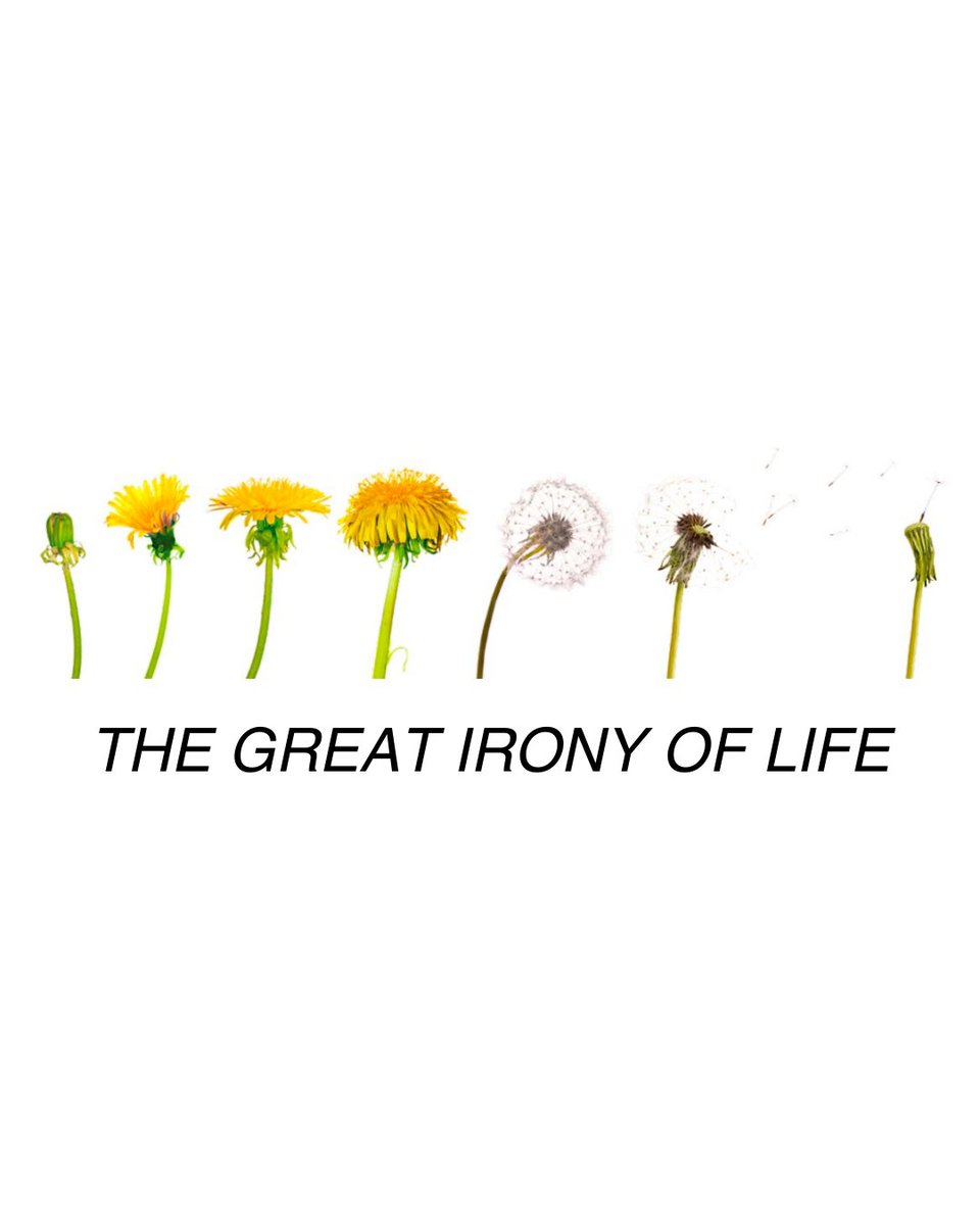 Isabella tweet media