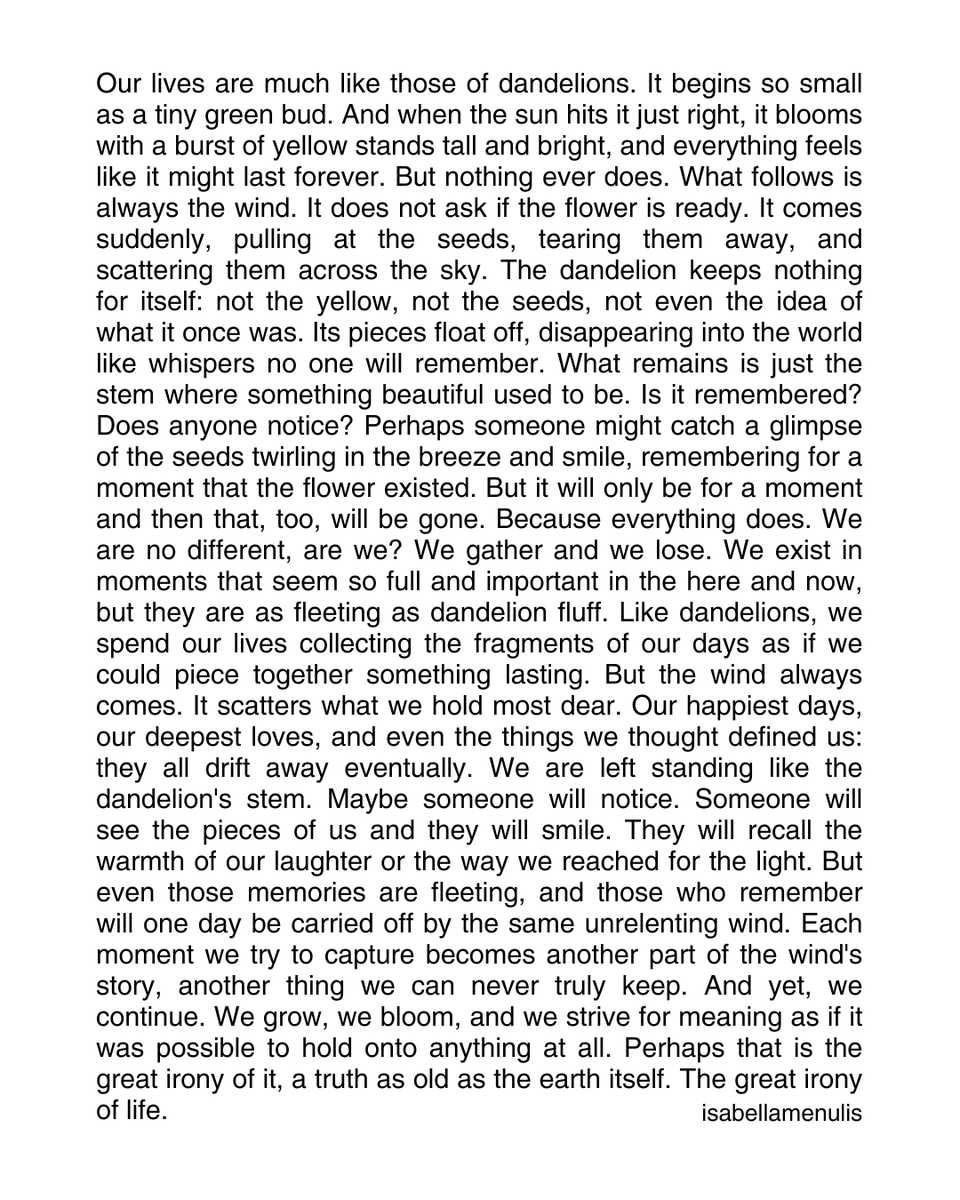 Isabella tweet media