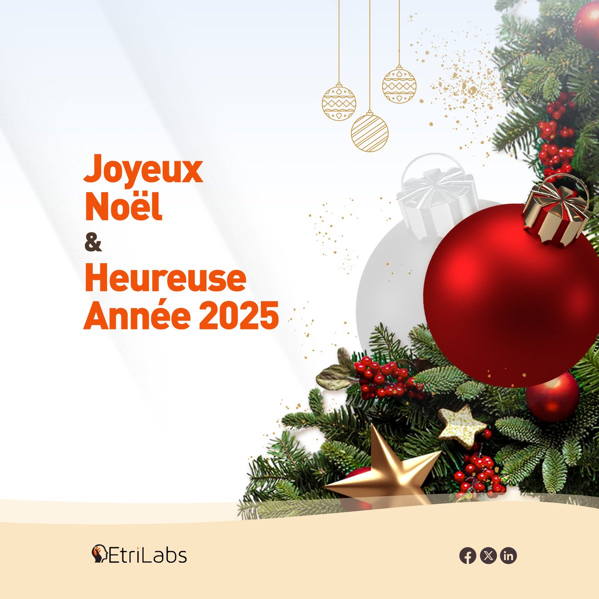 2024 a été une année marquante pour EtriLabs, placée sous le signe de l’innovation et de la collaboration. Grâce à l'engagement de chacun, nous avons soutenu des projets audacieux, renforcé les talents locaux et participé activement à résoudre les défis clés de notre continent.