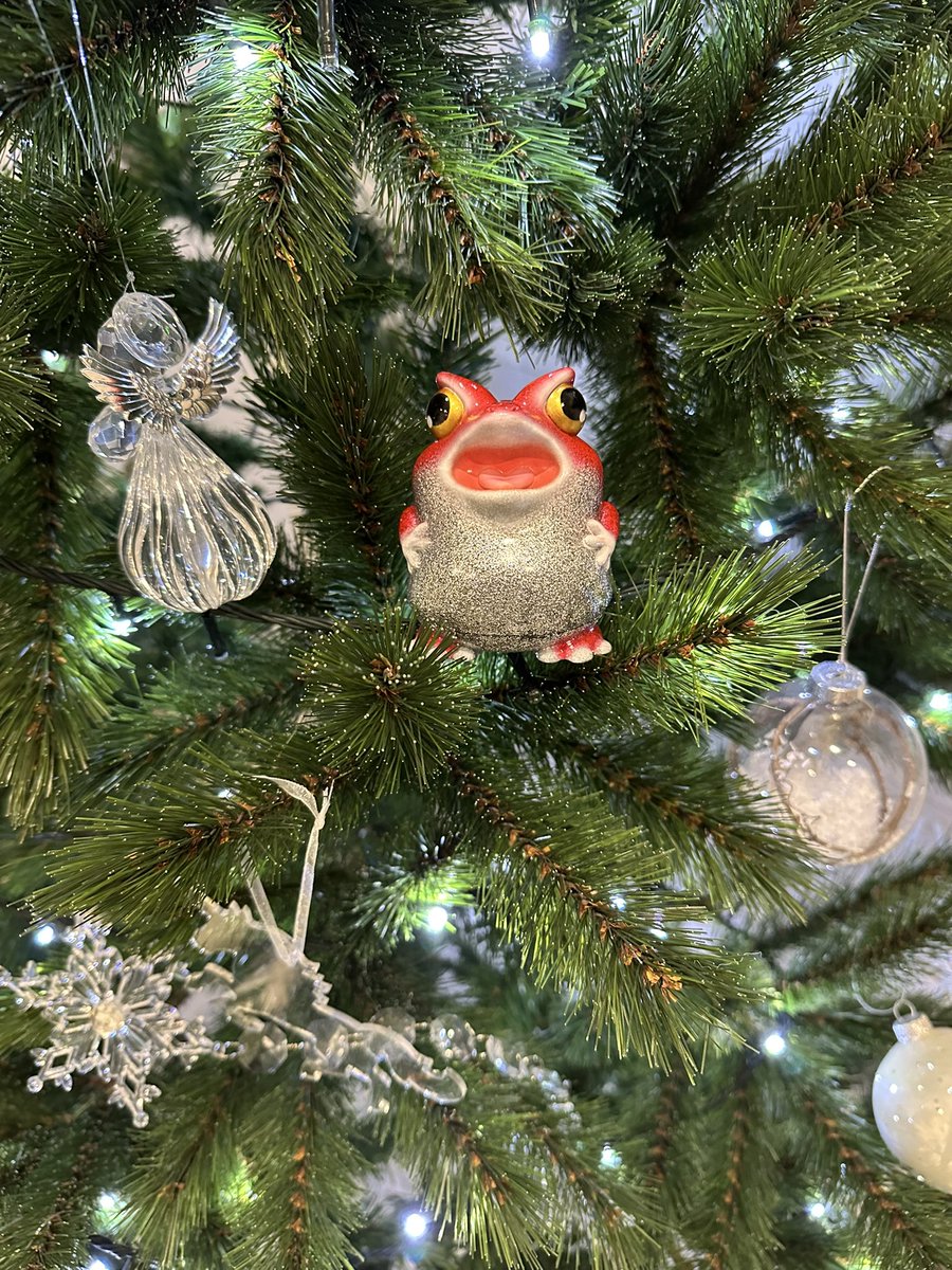 先日のペインターネットさんの通販でカエルーマ　サンタお迎えいたしました。
クリスマスツリーに飾ってみました🌲🐸

<a href="/toshihikoito/">ペインターネット公式</a>