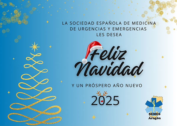 ¡Desde SEMES Aragón os deseamos unas Felices Fiestas!