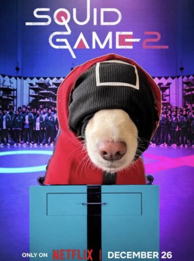 FullPortJeet tweet media