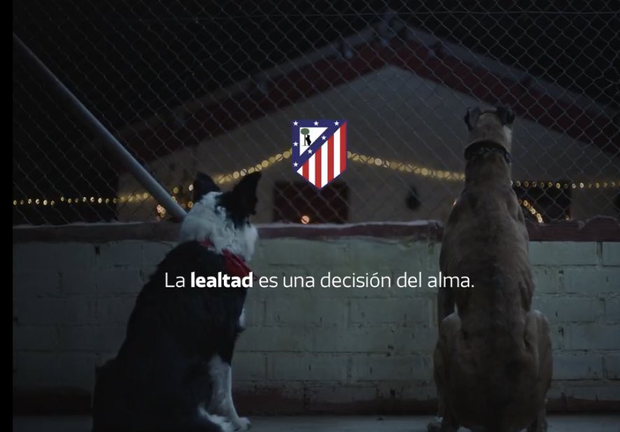 SpidyAtletico's tweet photo. ❤️🤍 Siempre contigo. https://t.co/bgZREvYieV