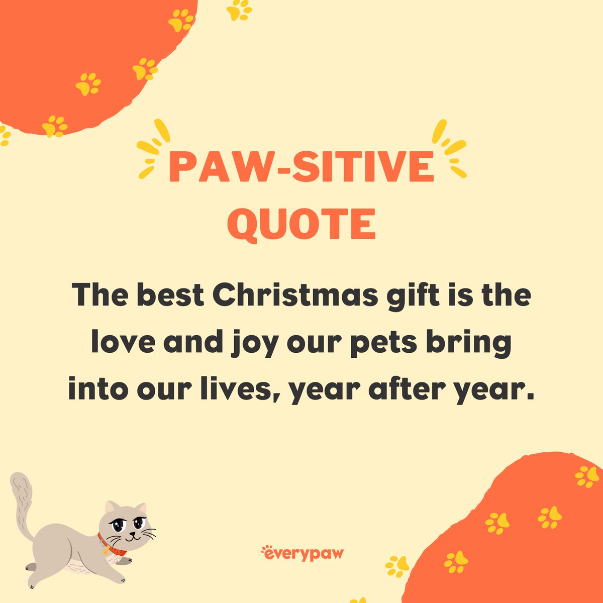 #petowner #catowner #catowners #dogowner #dogowners #rabbitowner #rabbitowners #everypaw #everypawuk #everypawpetinsurance #petinsurance