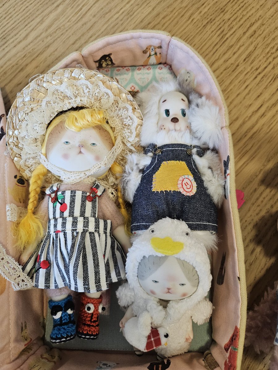 modidoll_jp's tweet photo. ぎゅうぎゅう。 https://t.co/FmAwSvkCRu