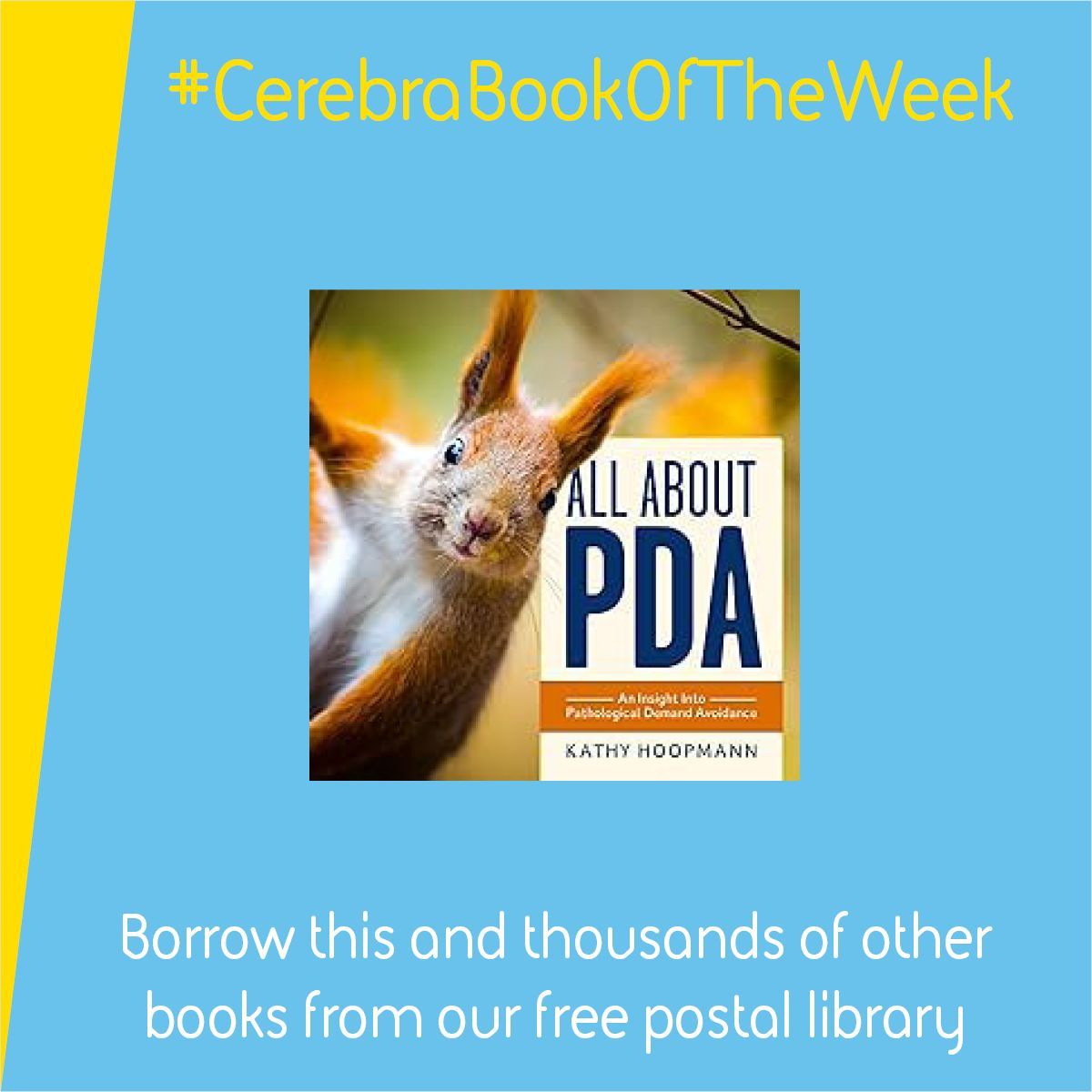This week's #bookoftheweek is 'All About PDA; an Insight into Pathological  Demand Avoidance' by Kathy Hoopman. It aims to help school-aged children understand PDA. buff.ly/3iFZkNq