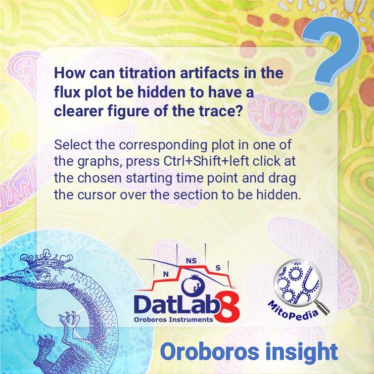 OroborosI's tweet image. 🏺Hidden artifacts – archeological treasure or practical DatLab feature? 📈
Learn how to make your DatLab trace more readable.
buff.ly/3VAe6uL
#MitoPedia #HighResolutionRespirometry