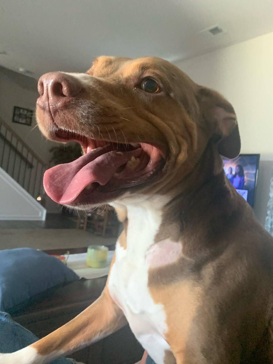 Steve Whitaker tweet media