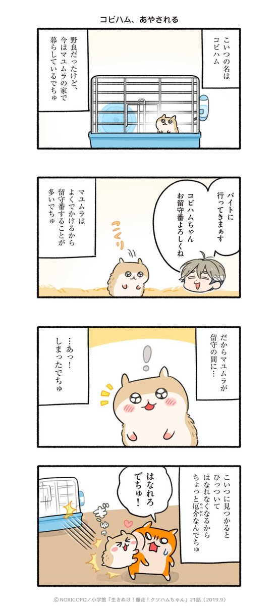 第21話「コビハムとタピハム」1/4

『生きぬけ!爆走!クソハムちゃん』2019年マンガワン掲載
#クソハムちゃん 