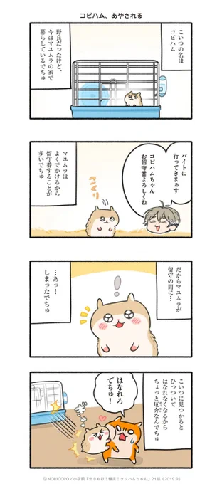 第21話「コビハムとタピハム」1/4

『生きぬけ!爆走!クソハムちゃん』2019年マンガワン掲載
#クソハムちゃん 
