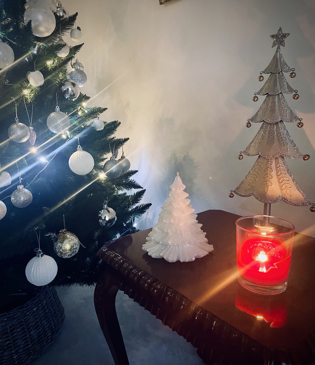 Hyvää ja rauhaisaa joulua kaikille!
Merry Christmas to everyone 🎄❄️