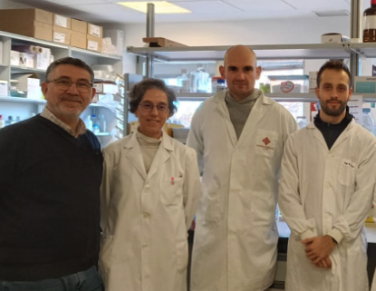 📢Otra entrevista en la radio‼️

Nuestro compañero Ricardo Sánchez Prieto @oncomol del #IIBmCSICUAM en el programa de📻“Investiga, Que No Es Poco” <a href="/InvestigaCMM/">InvestigaCMM</a> <a href="/RadioCLM_es/">Radio Castilla-La Mancha</a>

🗣️Habla sobre fármacos que mejoran los tratamientos con radioterapia
👂➡️ iib.uam.es/short?i=TAjNw0