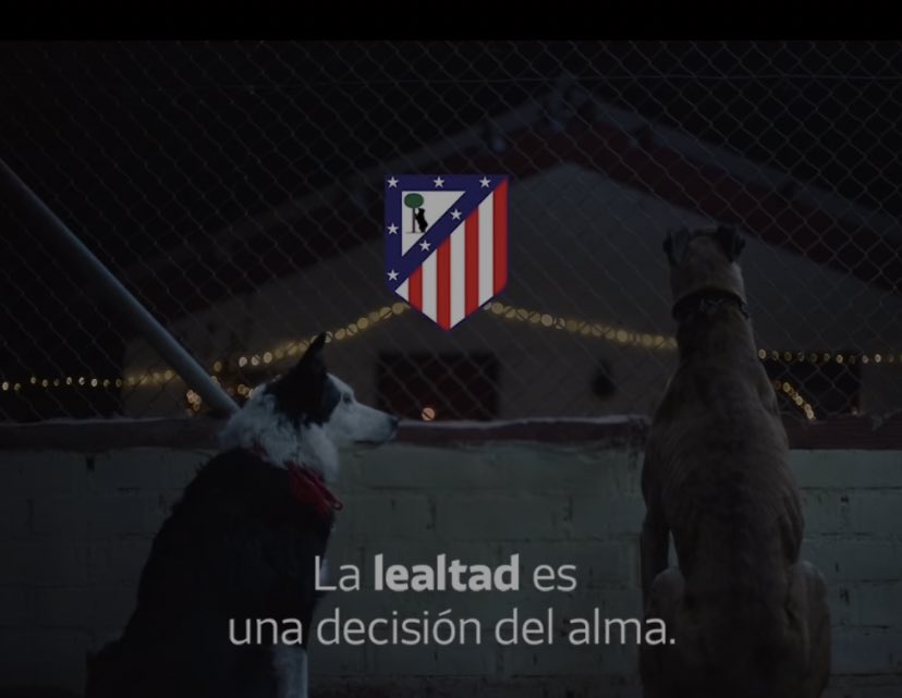 martitxxx's tweet photo. poco mas que añadir https://t.co/Q8vuHOH1Cx