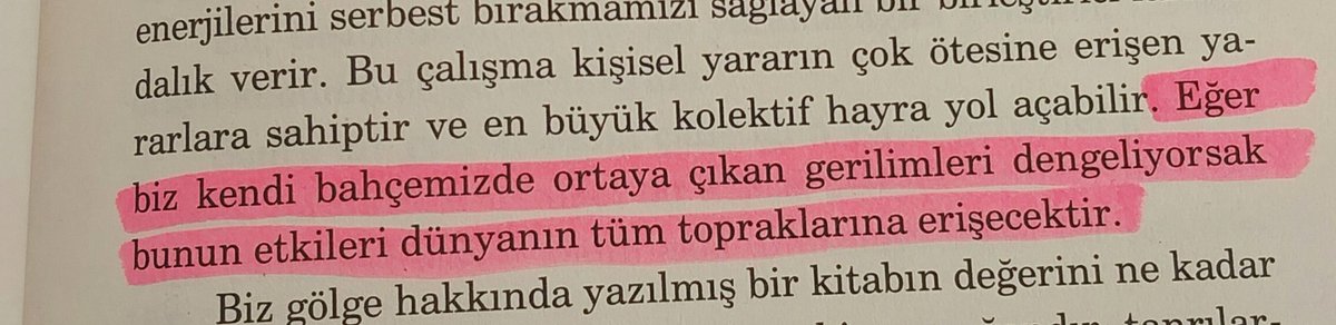 szntoshanim's tweet photo. Yani diyor ki terzi önce kendi söküğünü dikecek #DebbieFord https://t.co/nWEAGbVhMb