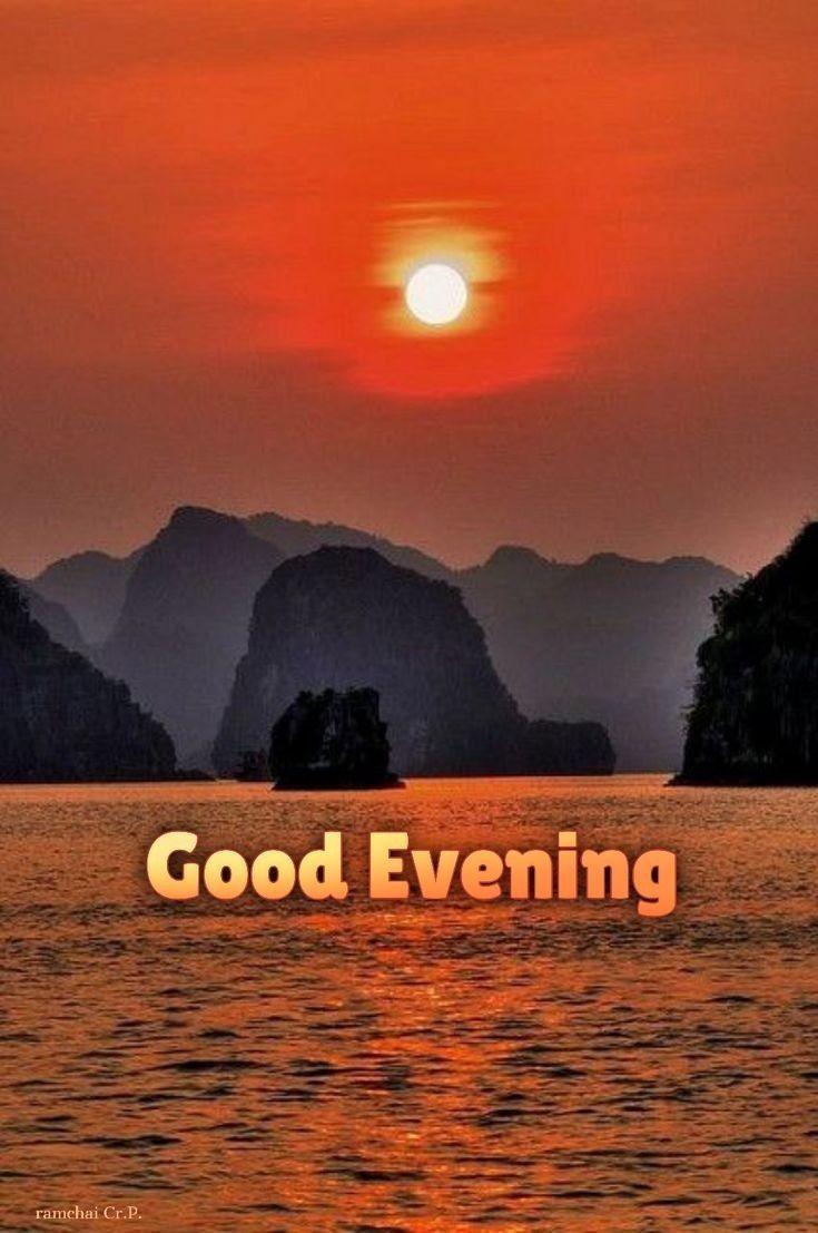 Arden Gray 🇺🇸 tweet media