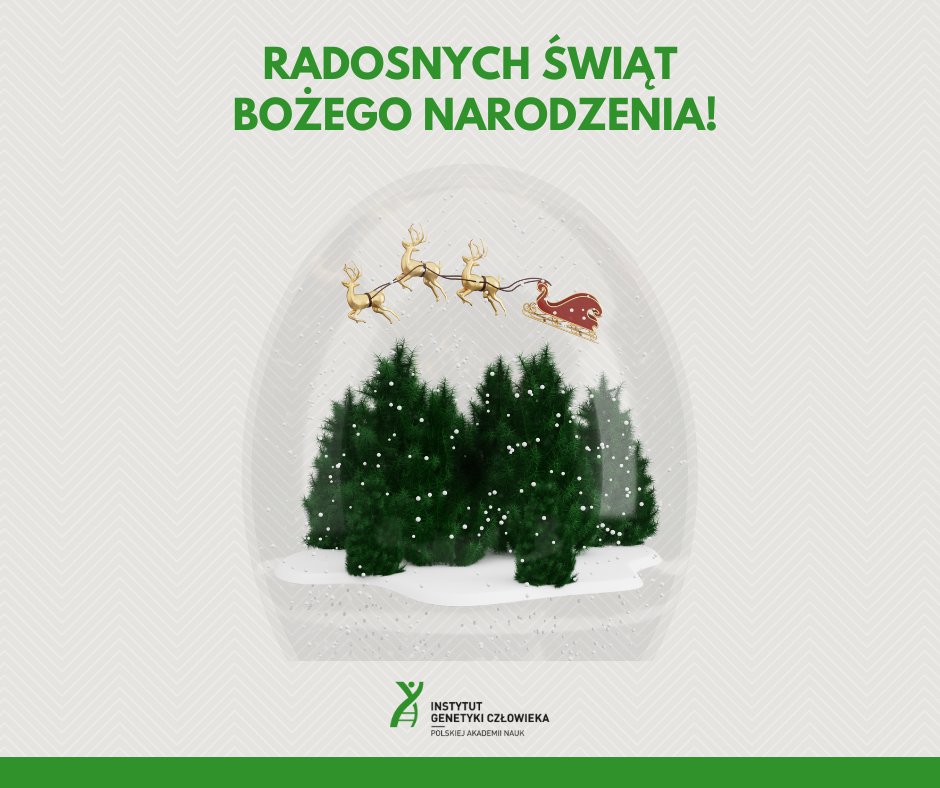 Z okazji Świąt Bożego Narodzenia, pragniemy złożyć Państwu najserdeczniejsze życzenia! Niech te wyjątkowe dni będą wypełnione ciepłem rodzinnych spotkań, magią świątecznych chwil oraz spokojem, który przynosi nowa nadzieja. Wesołych Świąt! 🎄