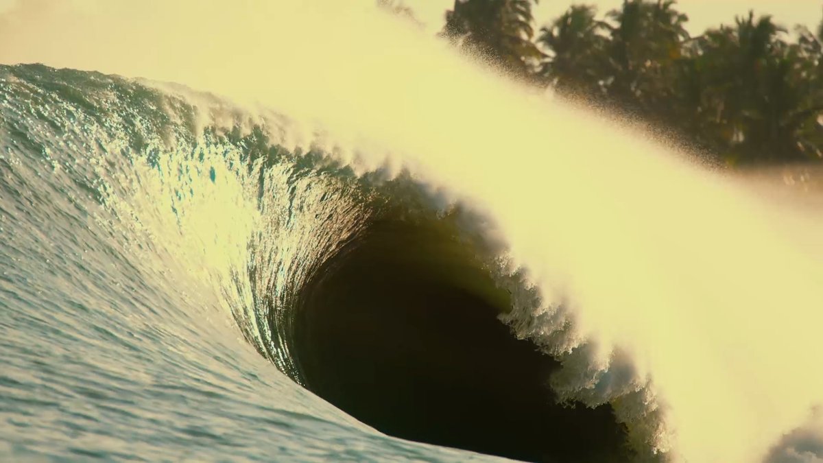 Point of Change Film tweet media