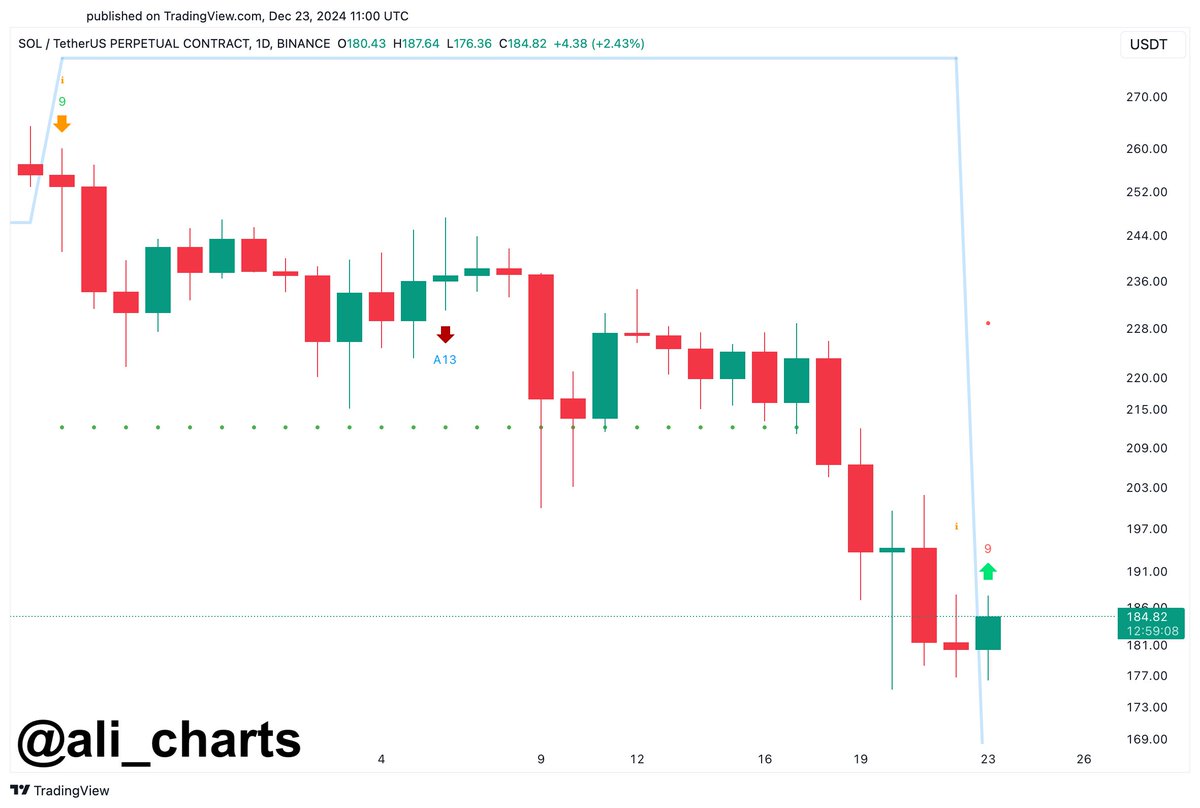 Solana Grafiği Kaynak: TradingView