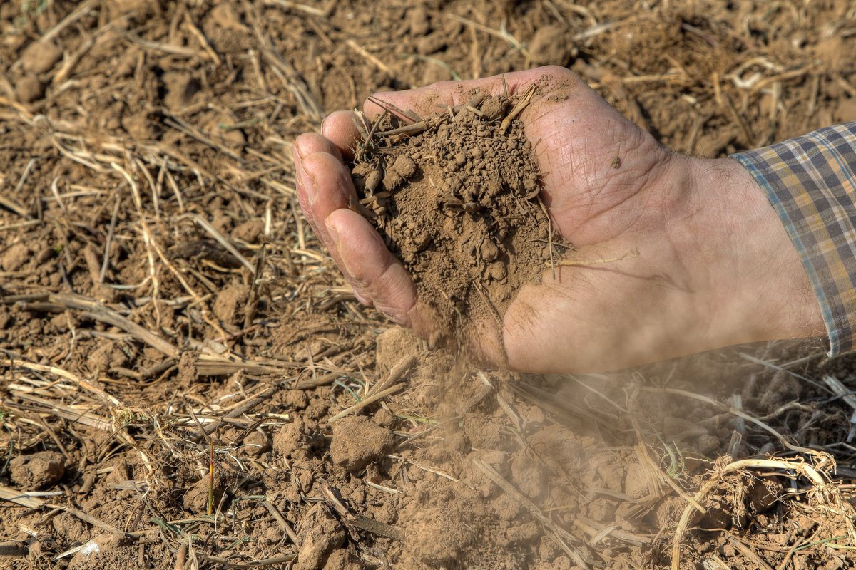 🆕study led by PIK scientists identifies the causal links behind the increase in hot and dry extremes in Central Europe. The influence of dry soil on temperature rose by 67%, while the impact of atmospheric drivers on soil moisture has intensified by 50%: pik-potsdam.de/en/news/latest…