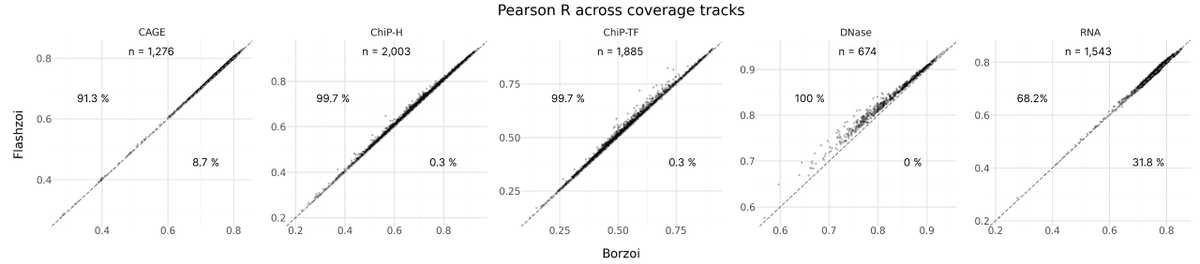 Johannes Hingerl tweet media