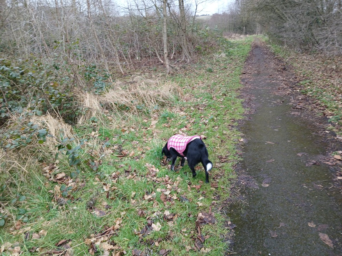 Just a tad short of 3.5 miles this morning at 10:06 pace :)