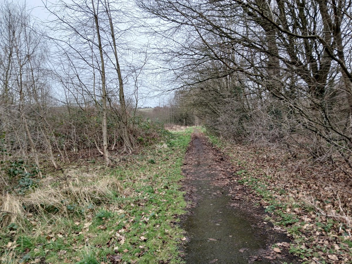 paulcli's tweet image. Just a tad short of 3.5 miles this morning at 10:06 pace :)