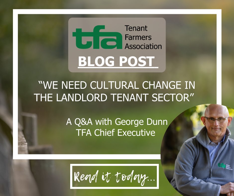 Read the latest TFA Blog: We Need Cultural Change in the Landlord Tenant Sector - a Q&amp;A with TFA Chief Executive, <a href="/georgewdunn/">George Dunn</a>  Read it now in the News area at tfa.org.uk