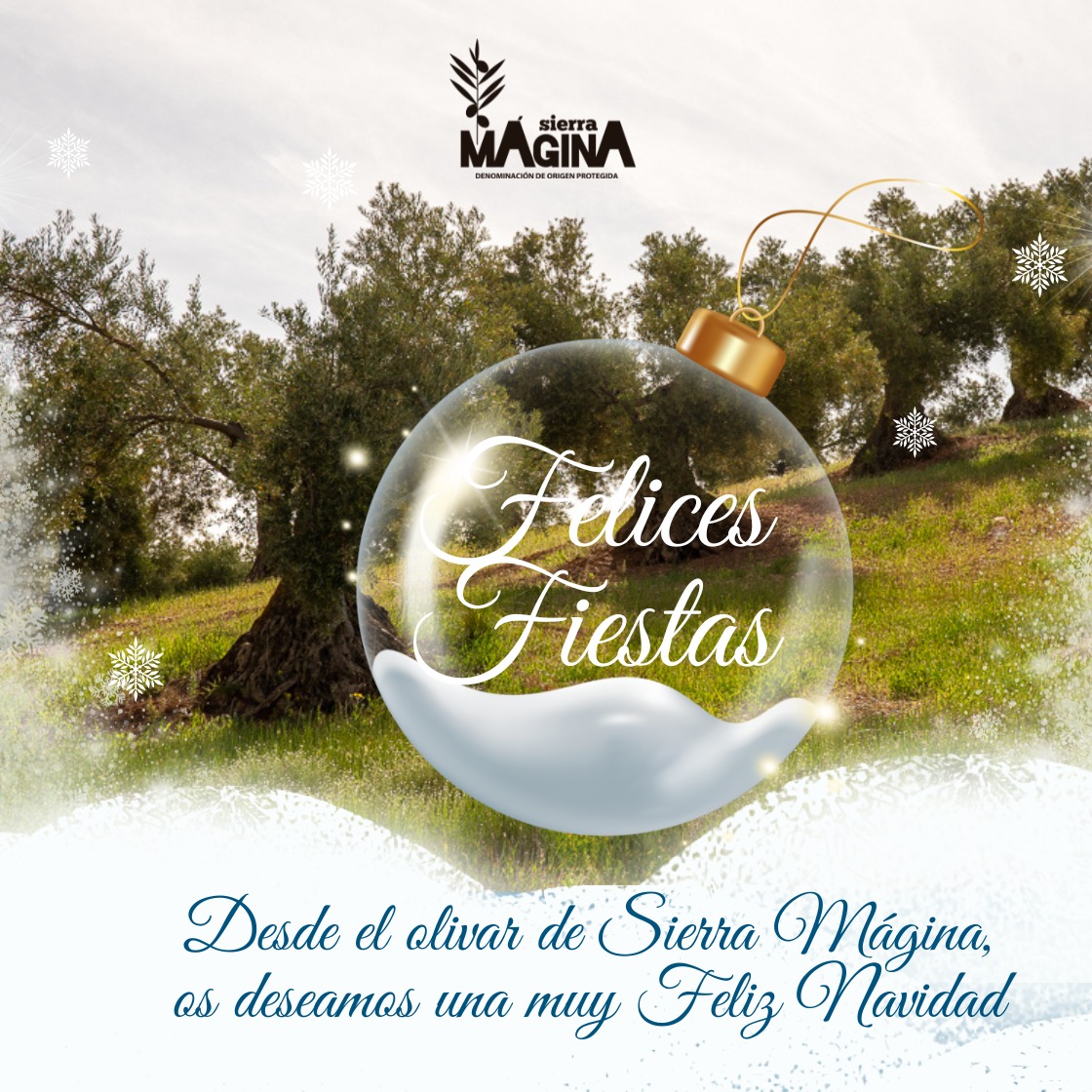 Mientas la actividad en los olivares y almazaras de Sierra Mágina no para en estas Fiestas, queremos desearos que disfrutéis mucho estas navidades y con un poco de #aove , de parte de tod@s los que trabajamos en esta Denominación de Origen 
💚💚FELIZ NAVIDAD 💚💚