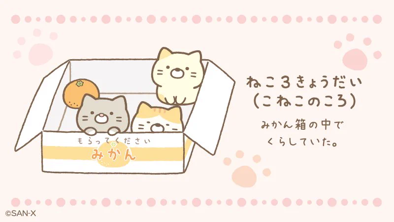 すみっコぐらし【公式】 on X: 