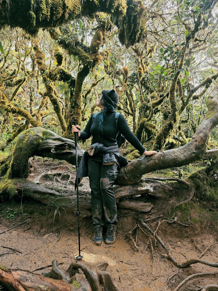 💫P o l a r i S💫 Currently in 🇦🇴 tweet media
