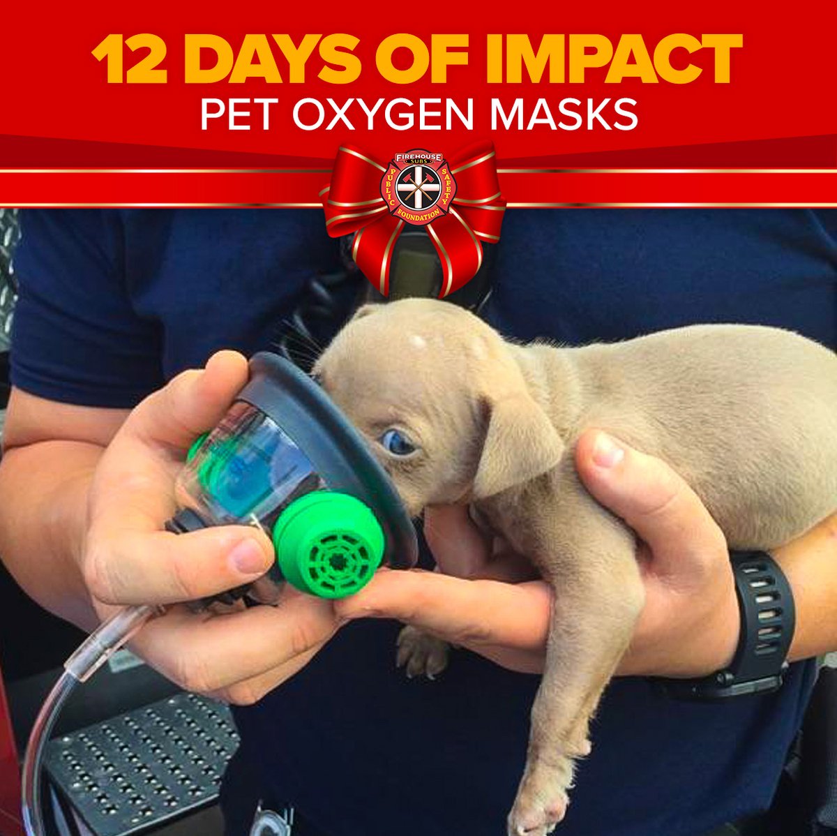 savinglives's tweet photo. Did you know that many fire departments don't have the equipment needed to save pets' lives? 💭 On Day 10 of our #12DaysofImpact, we’re featuring pet oxygen masks, used to treat smoke inhalation. Providing this equipment wouldn't be possible without your help! https://t.co/bWkpP7vK16