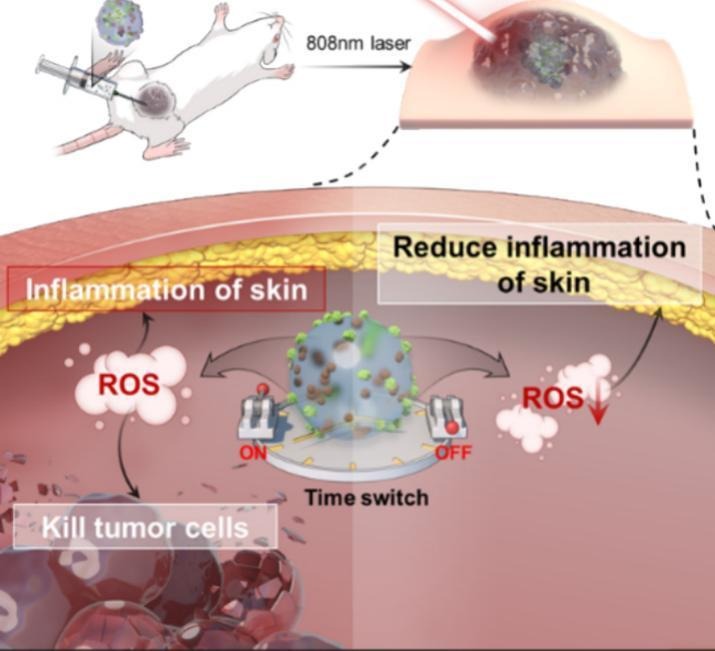 JCRnEDITORS's tweet photo. Reactive oxygen species switcher via MnO2-coated Prussian blue loaded hyaluronic acid methacrylate hydrogel microspheres for local anti-tumor treatment.
| Wenguo Cui @sjtu1896 |
[50 days' free access]
#PrussianBlue #microsphere #ReactiveOxygenSpecies
https://t.co/LiYLxt6GOO https://t.co/wV7ySOd0t8