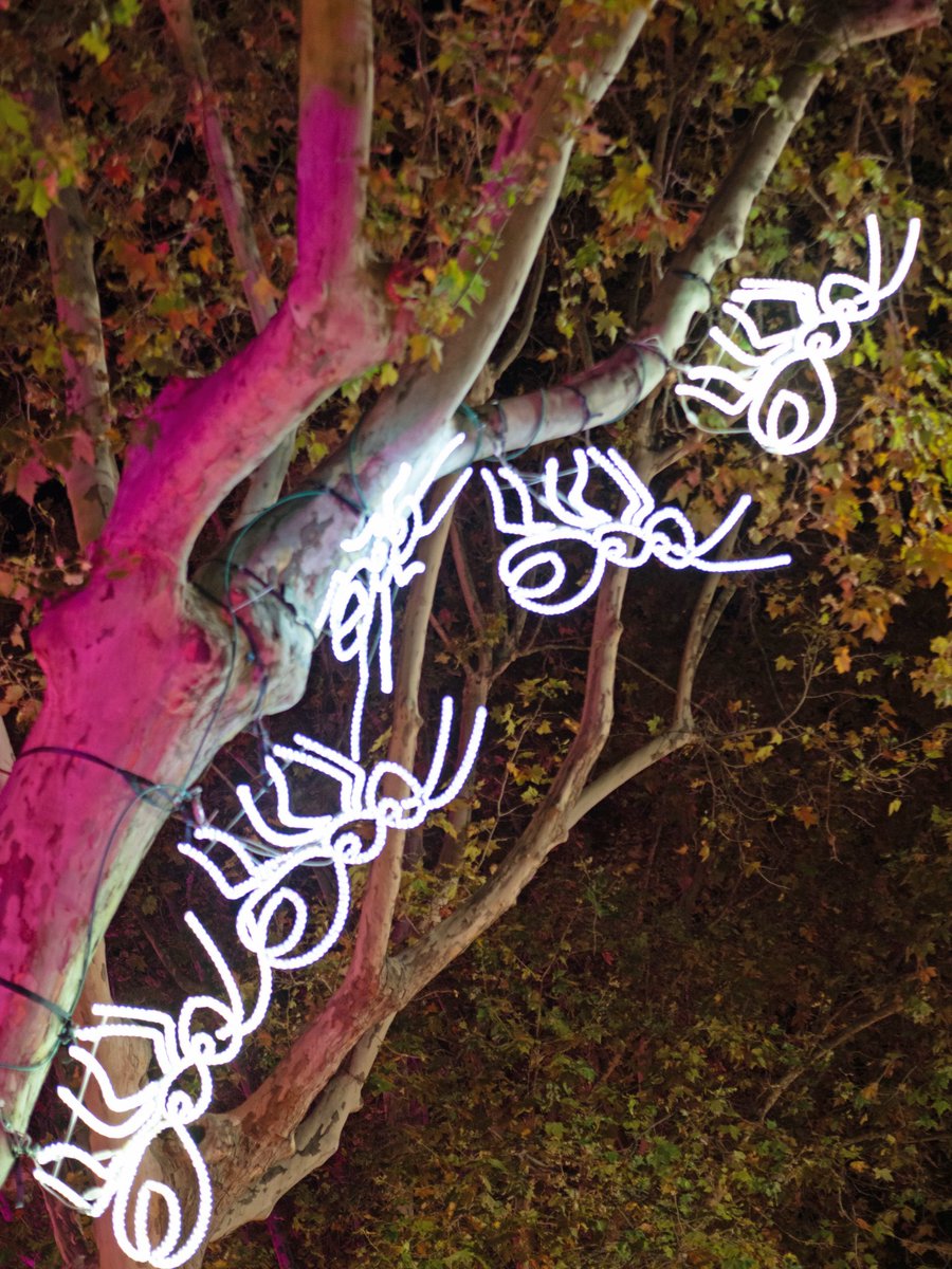 ADEVICatalunya tweet media